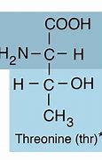 Threonine Adalah